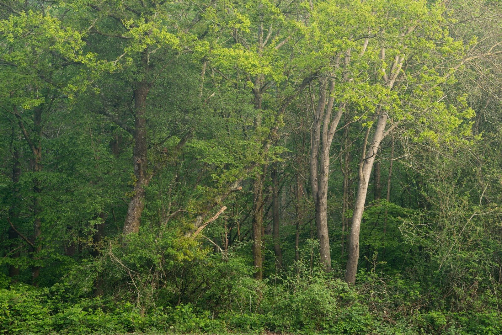 The Rise of Sustainable Fashion Brands in the UK - Blue Panda