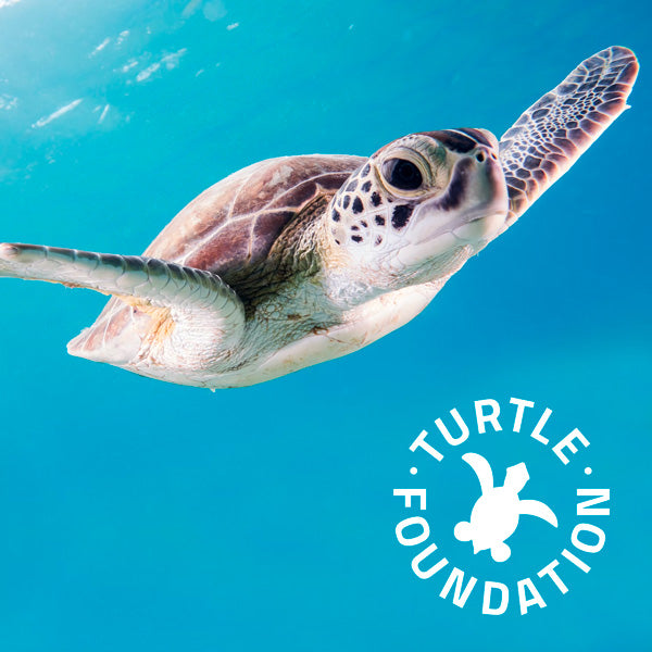 Turtle Foundation UK