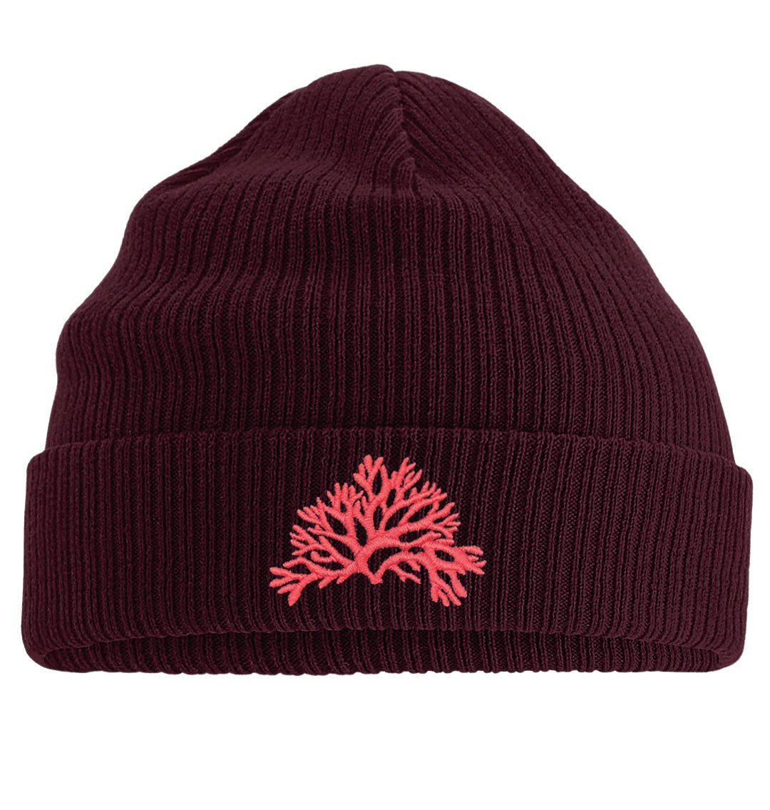 Coral Beanie - Blue Panda